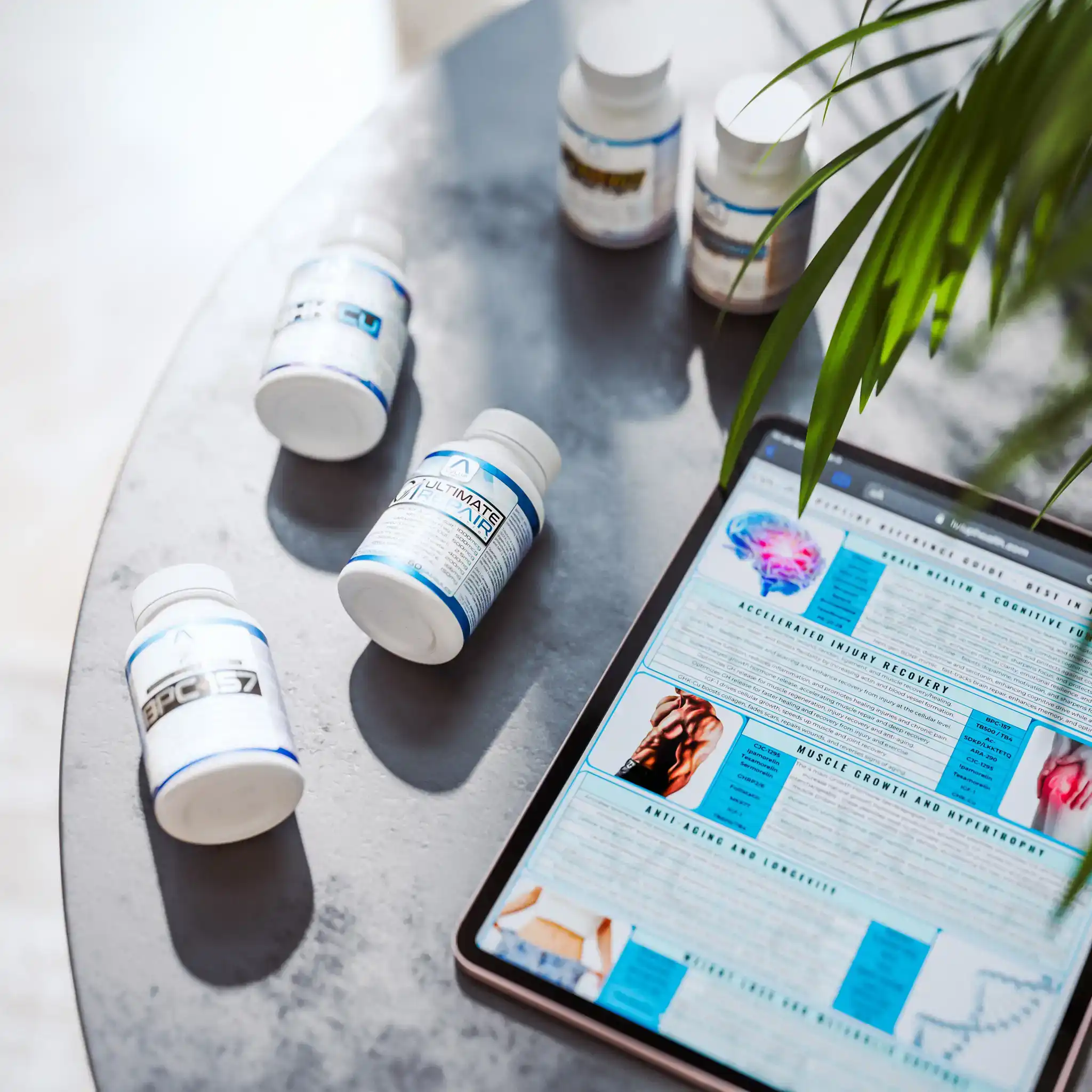 5add5696 A9d9 44ed 8ea1 4656ec72172e.webp