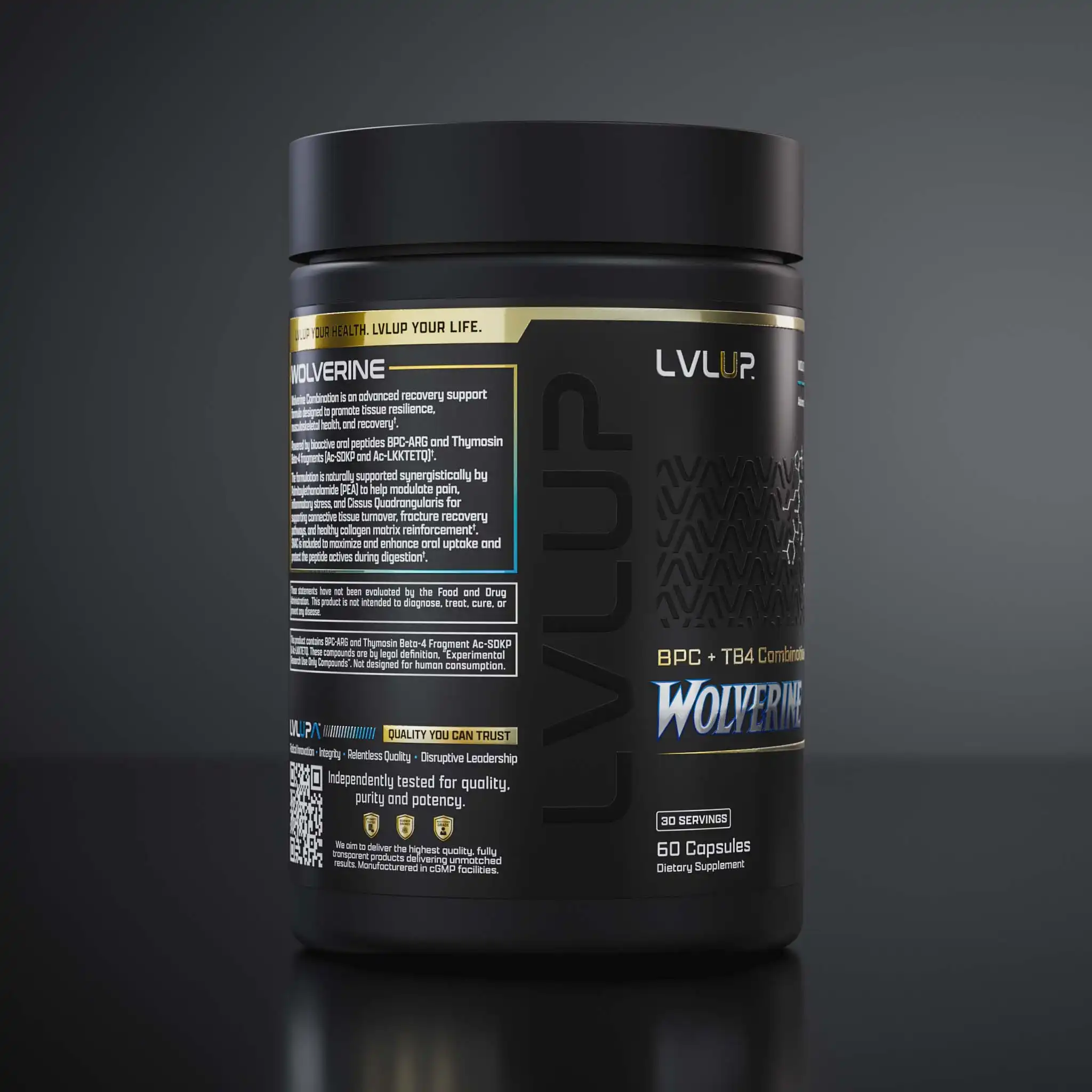 Wol 260407 360 P T03