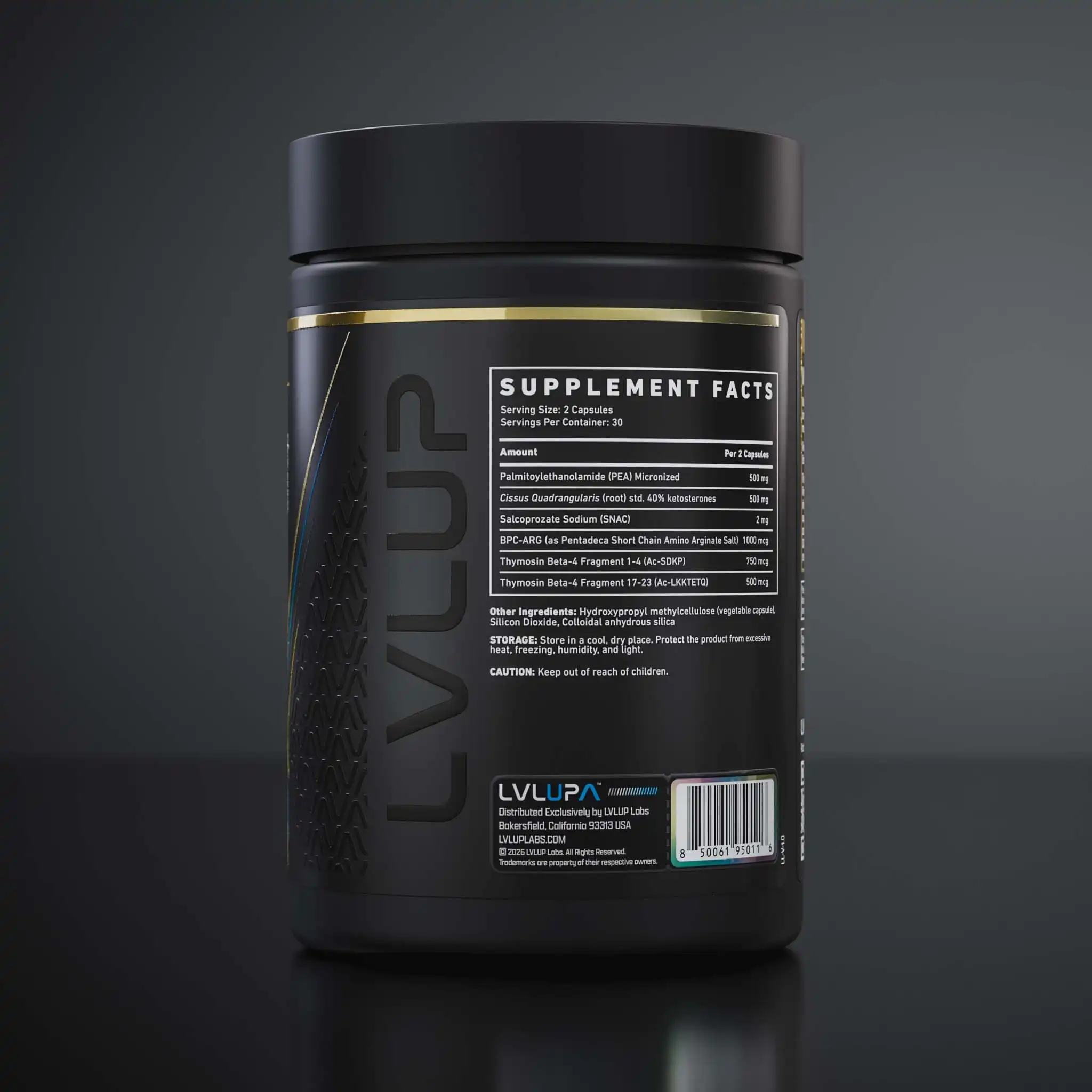 Wol 260407 360 P T10