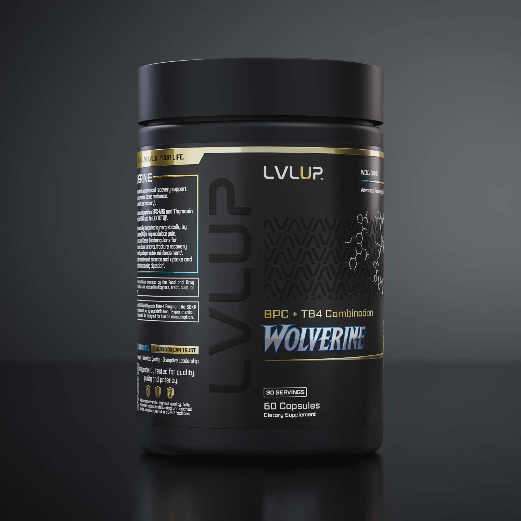 Wol 260407 360 P T02