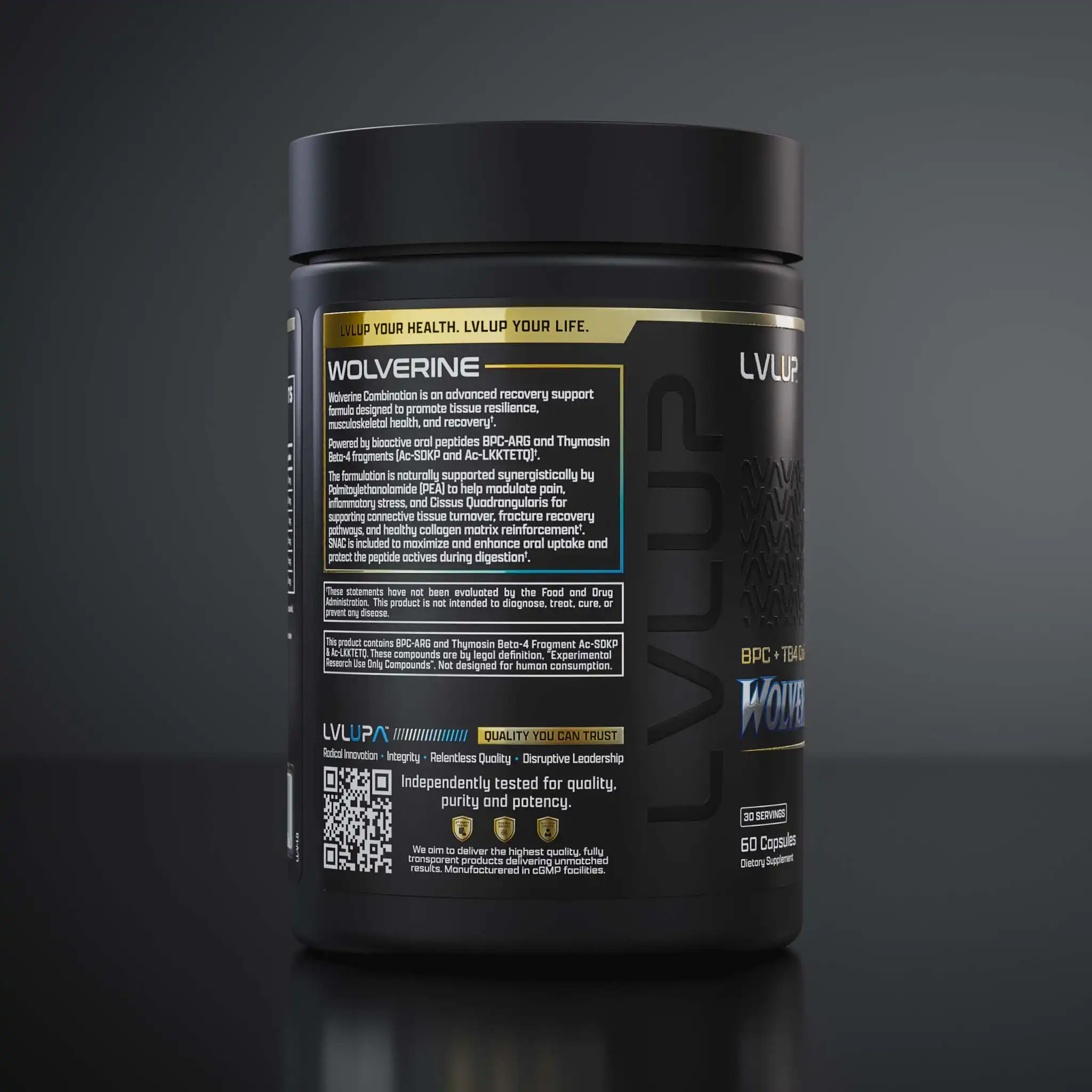 Wol 260407 360 P T04