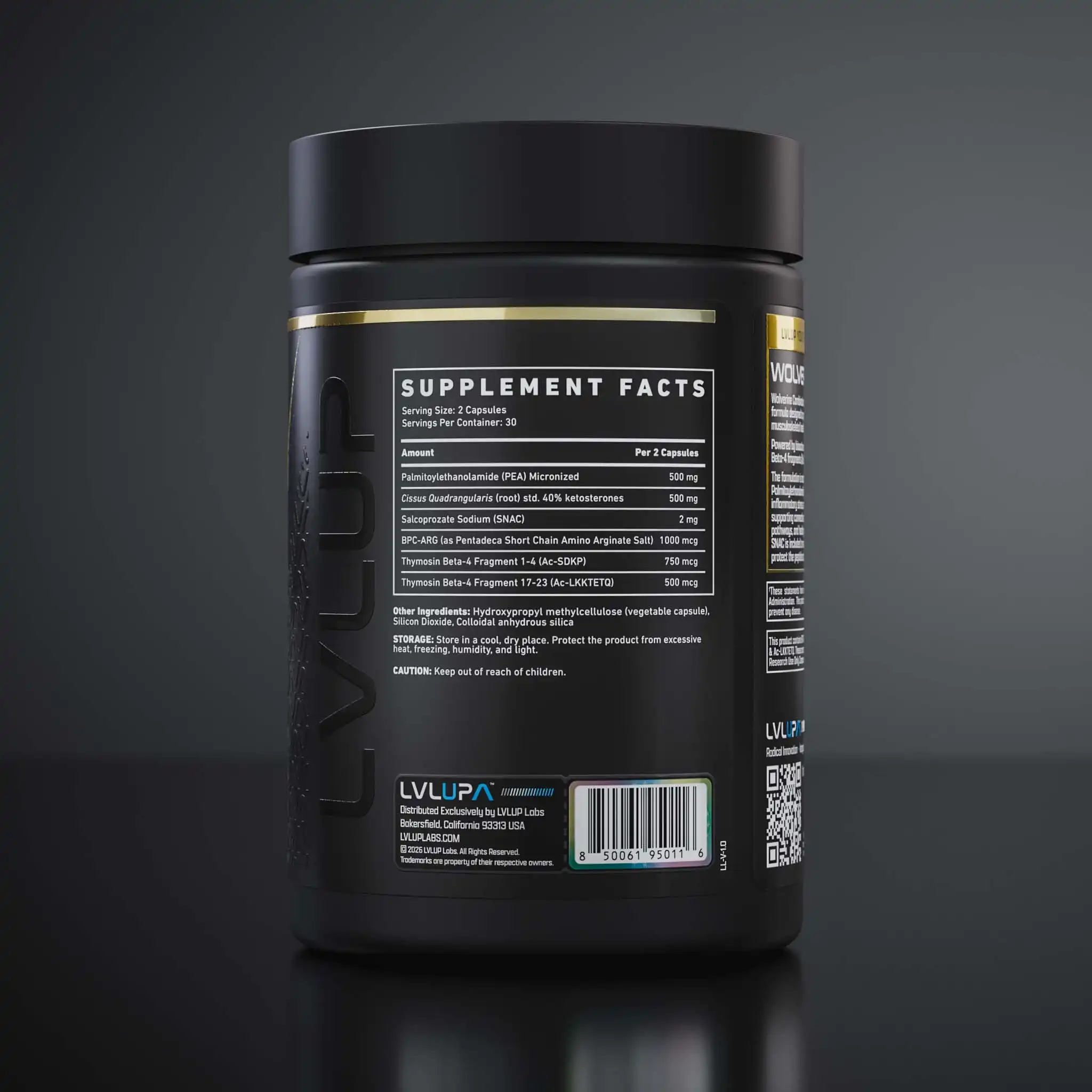 Wol 260407 360 P T09