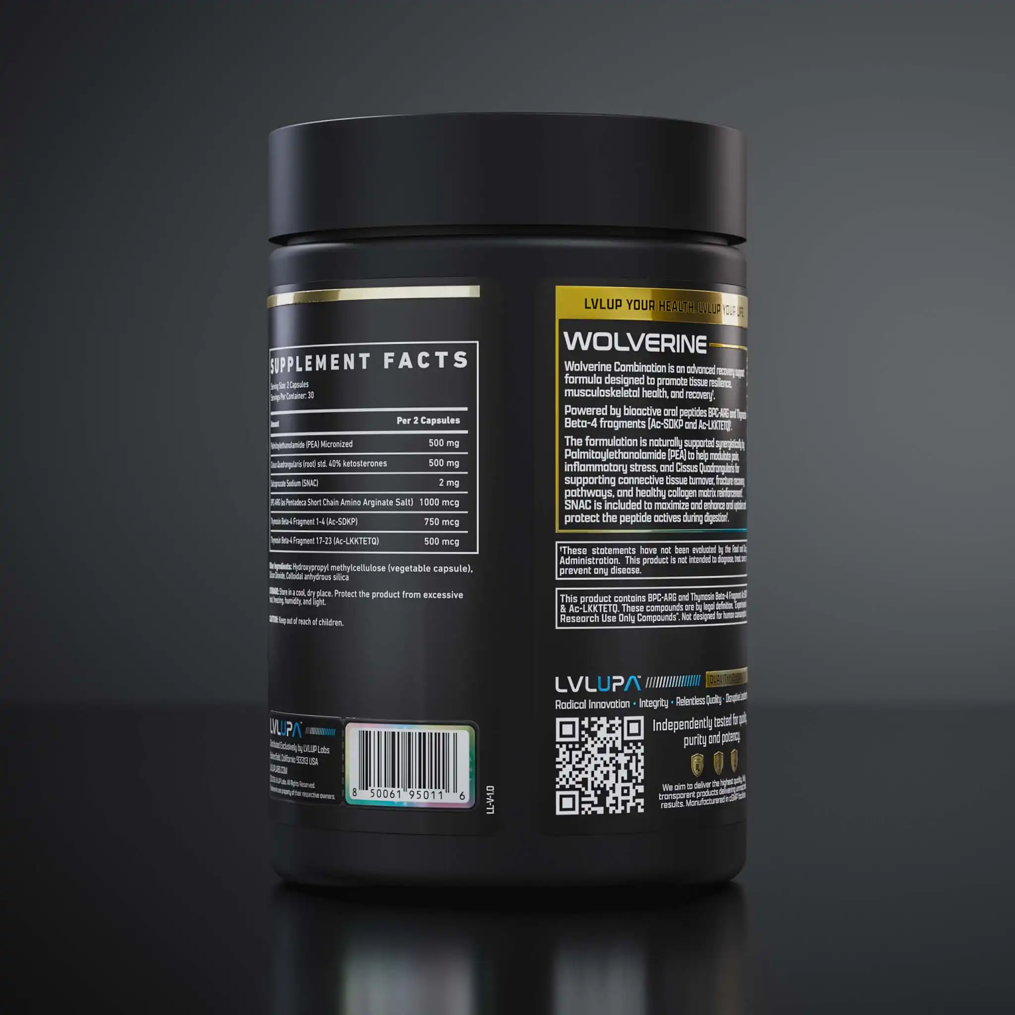 Wol 260407 360 P T07