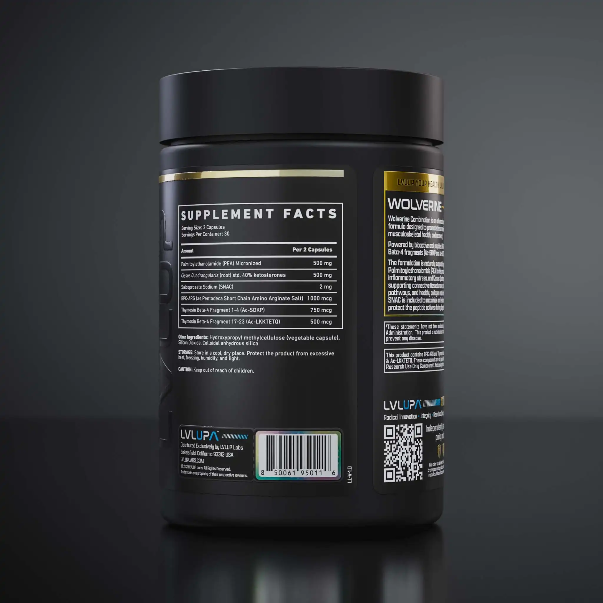 Wol 260407 360 P T08