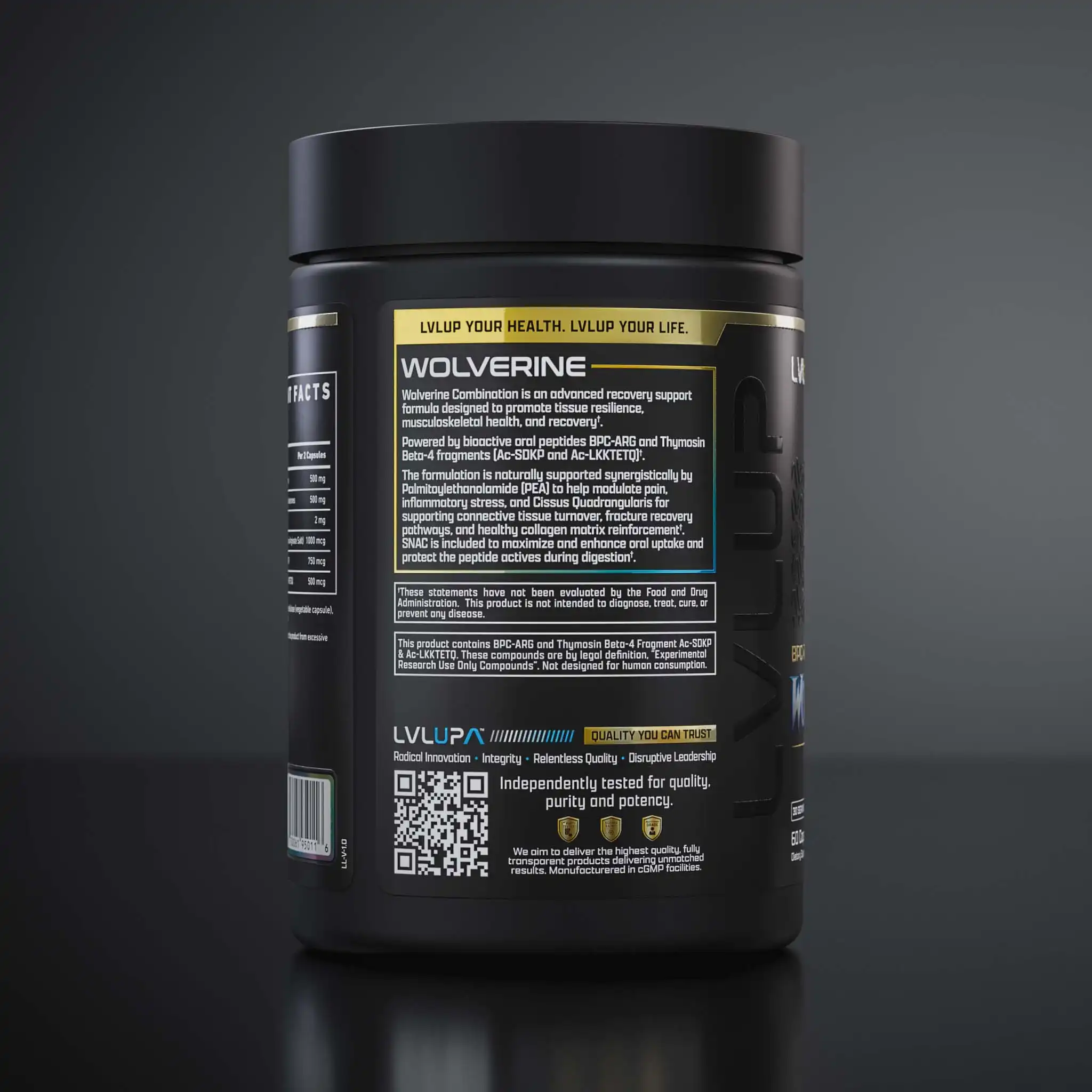 Wol 260407 360 P T05