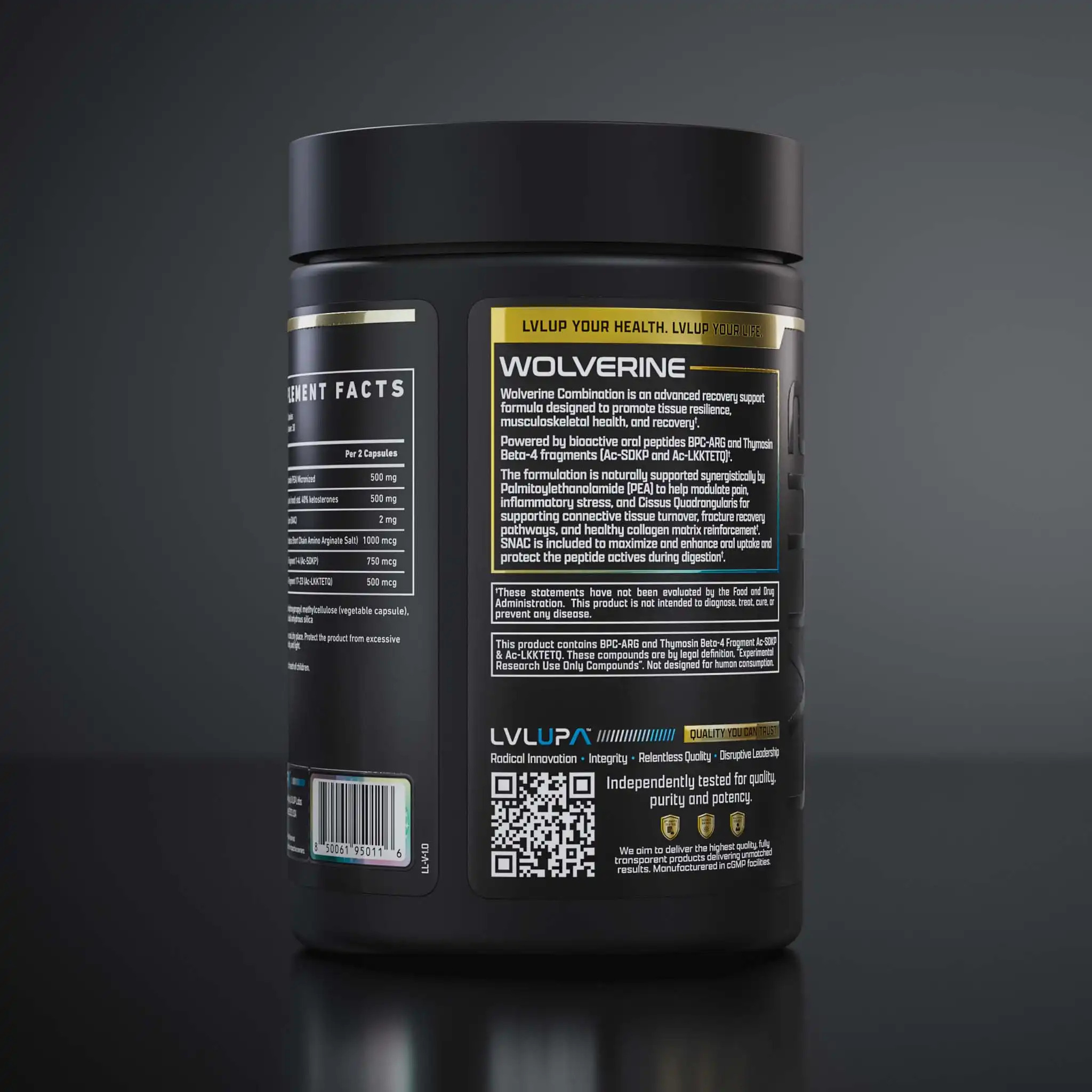 Wol 260407 360 P T06