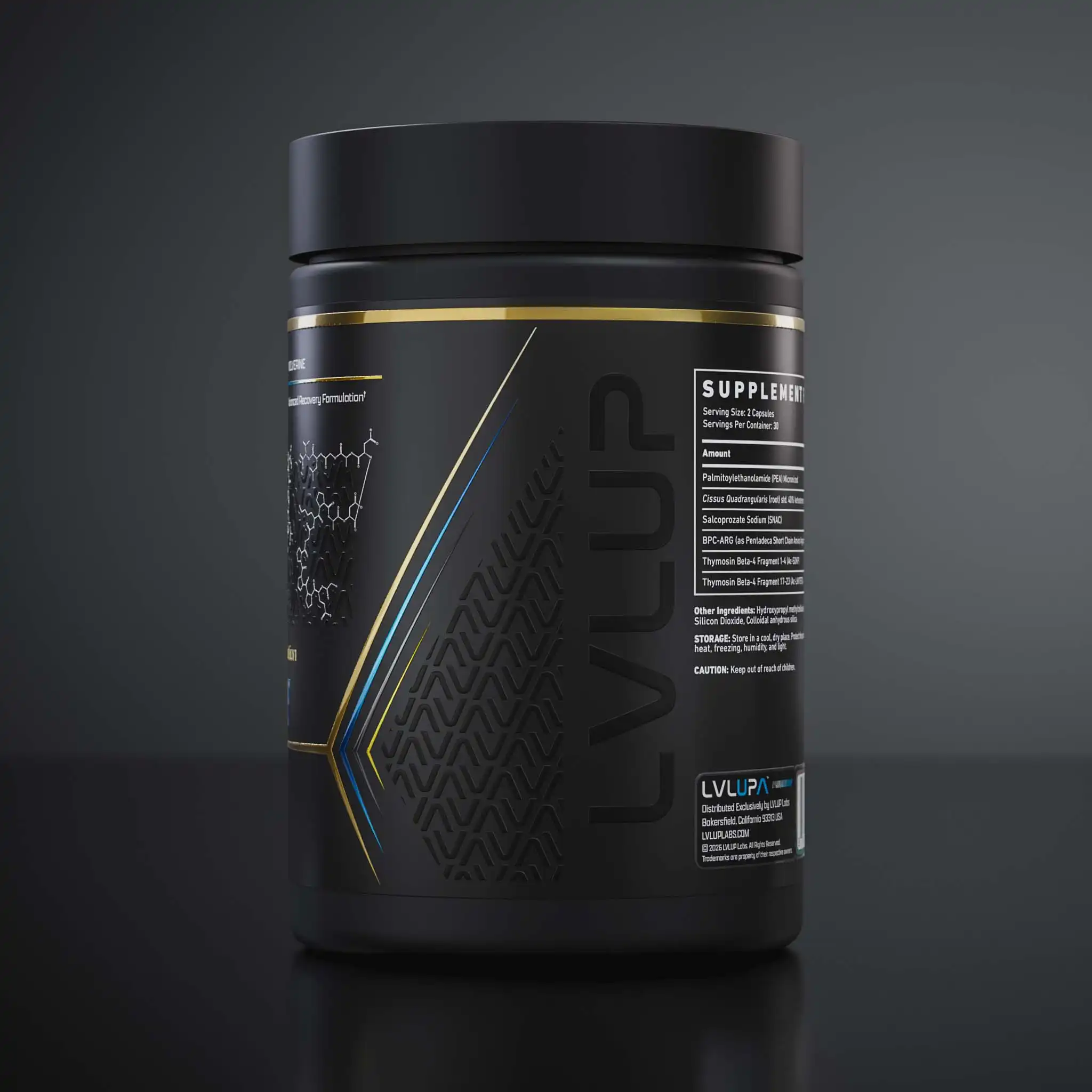 Wol 260407 360 P T12